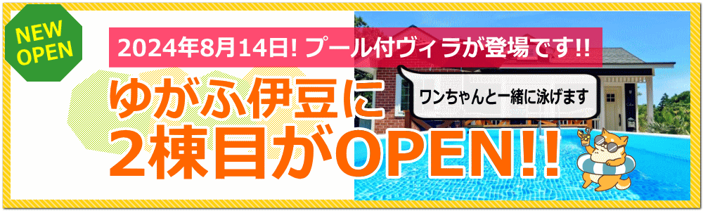 ワンちゃんと一緒に泳げます